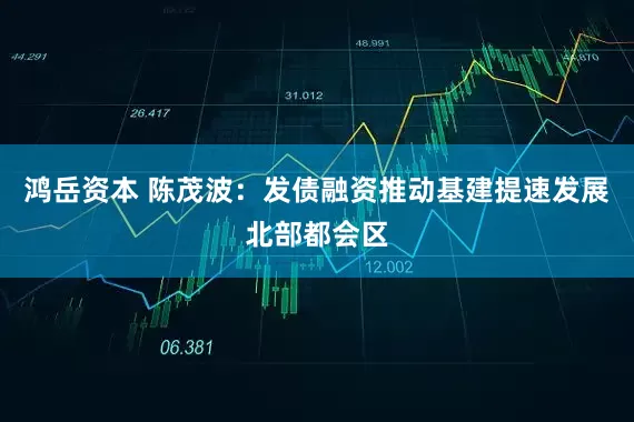 鸿岳资本 陈茂波：发债融资推动基建提速发展北部都会区