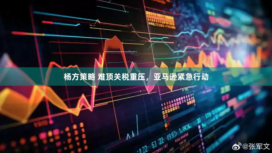 杨方策略 难顶关税重压，亚马逊紧急行动