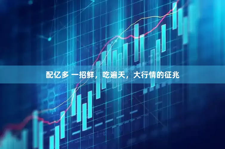 配亿多 一招鲜，吃遍天，大行情的征兆