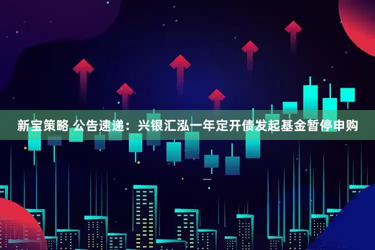 新宝策略 公告速递：兴银汇泓一年定开债发起基金暂停申购