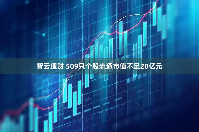 智云理财 509只个股流通市值不足20亿元