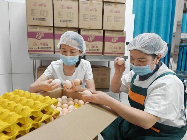传金所 贵州习水：“13道关”守护师生“舌尖安全”